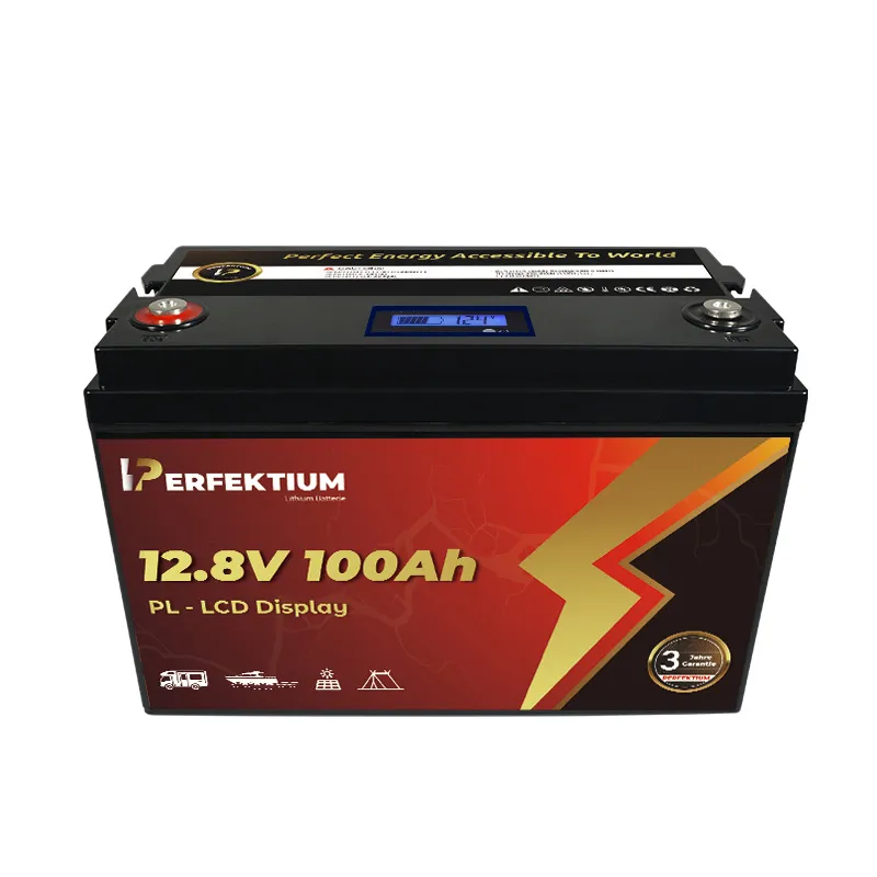 Lithium Batterie PL 100 AH