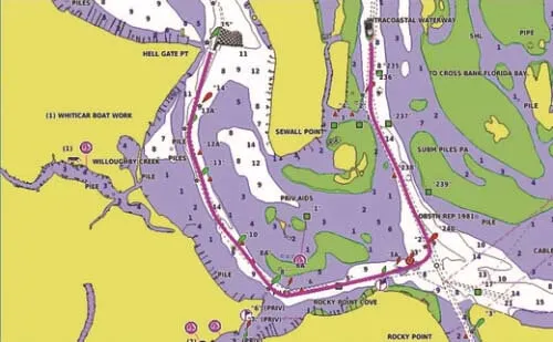BlueChart G3 regular-Garmin