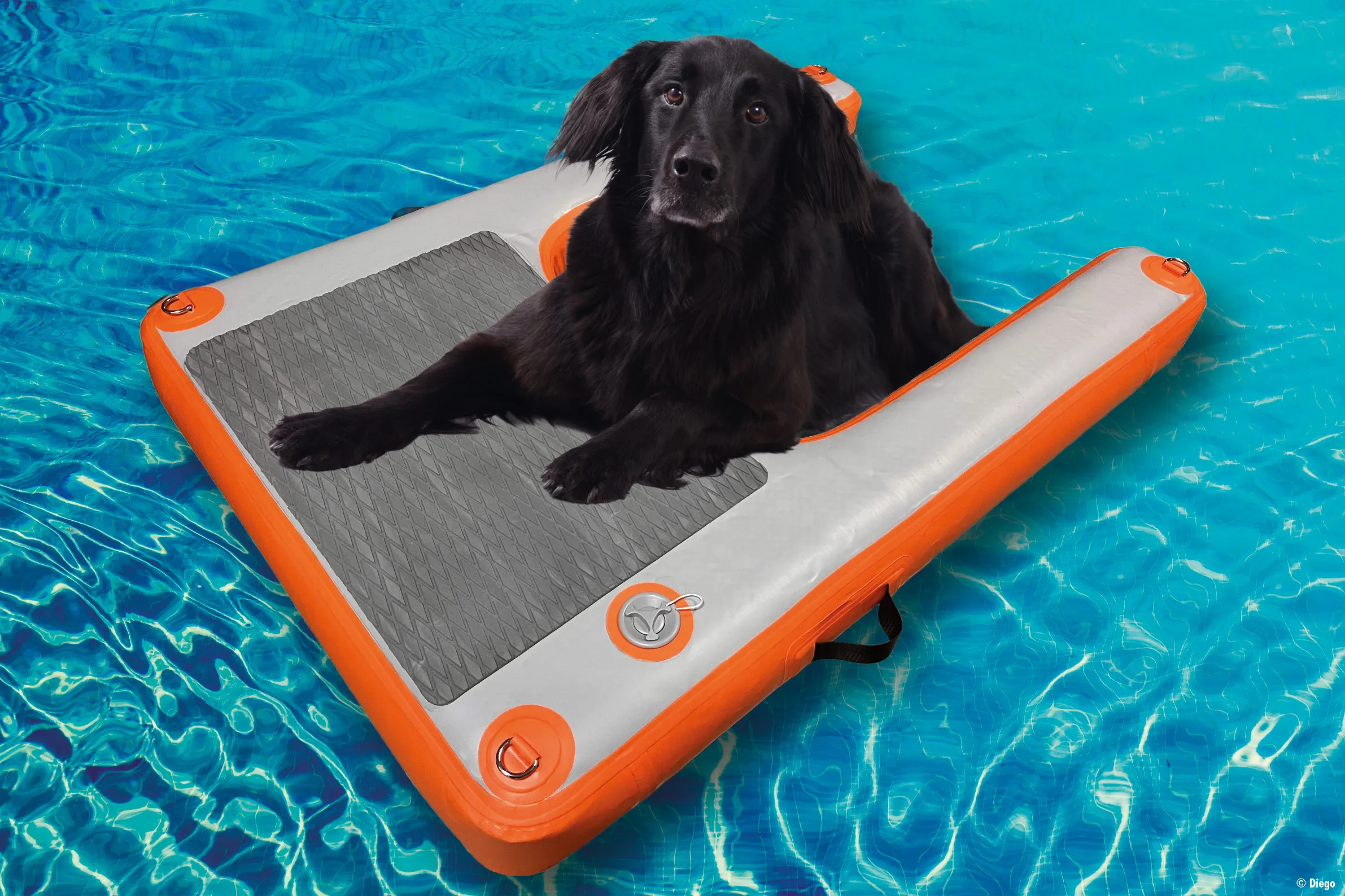 Badeleiter für Hunde -  Dog Ramp
