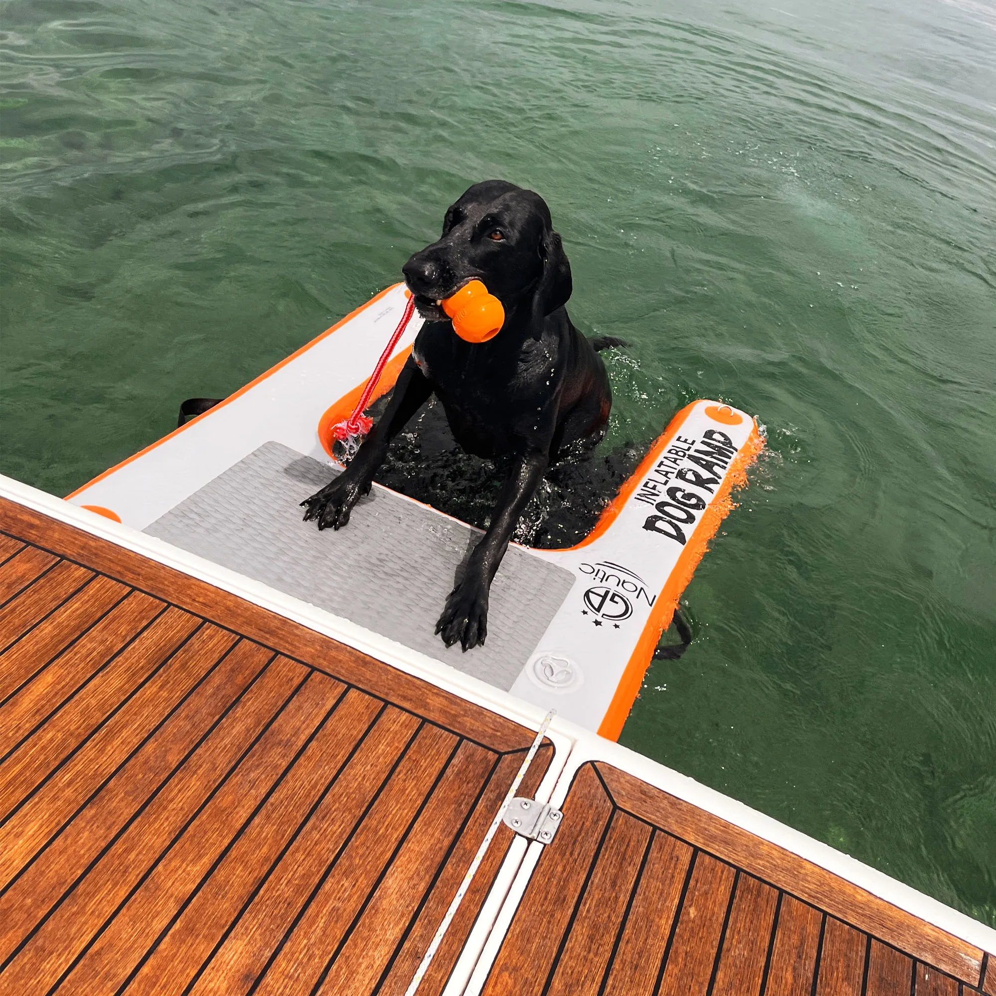 Badeleiter für Hunde max. Zuladung 13 kg