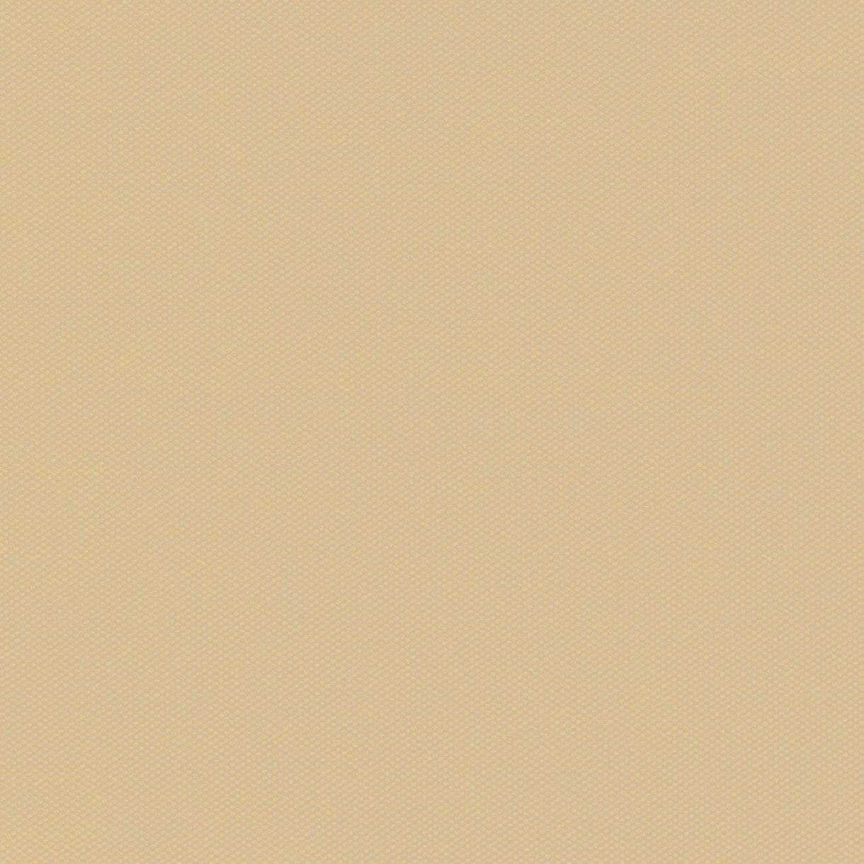 Winterplane Stamoid Motion Beige B 3 m
