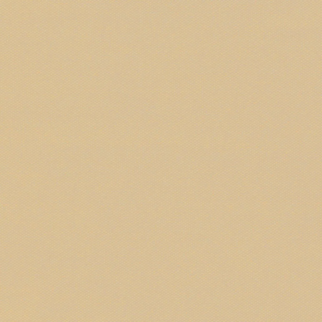Winterplane Stamoid Motion Beige B 3 m
