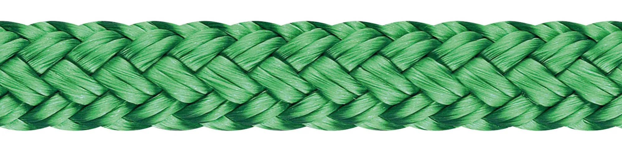 Top-Cruising-Color 1528