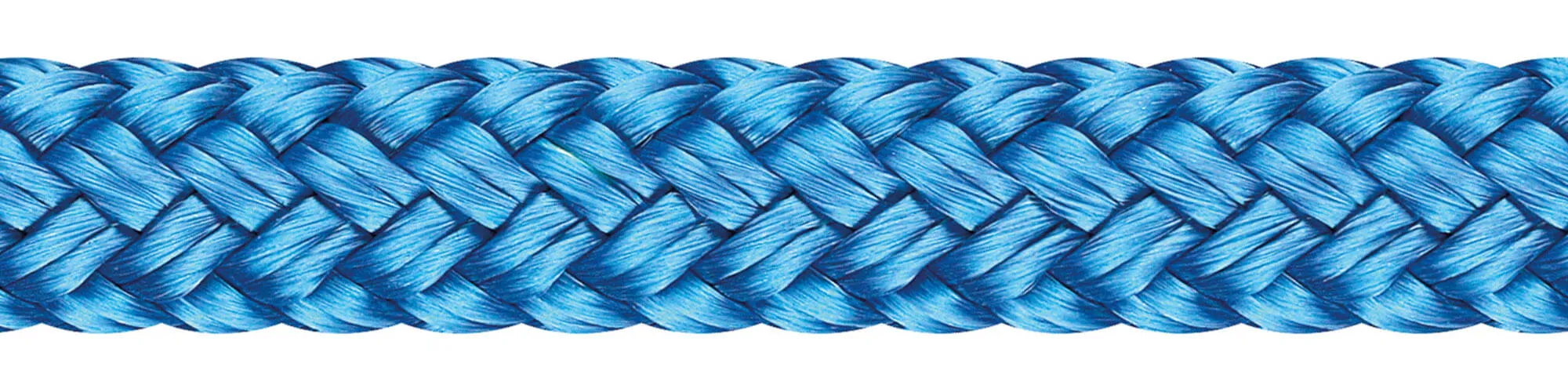 Top-Cruising-Color 1528