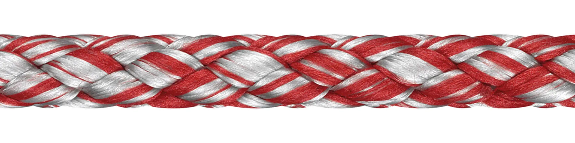Dyna Soft 2055