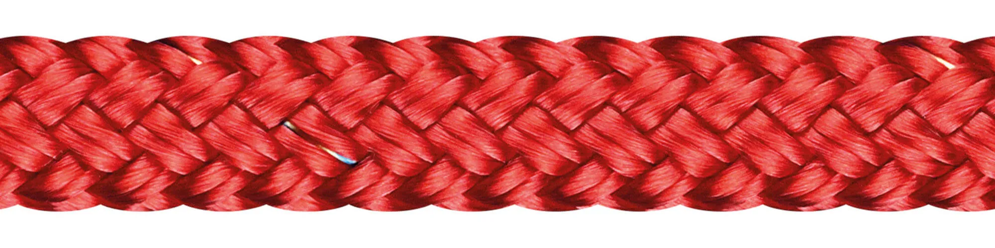 Top-Cruising-Color 1528