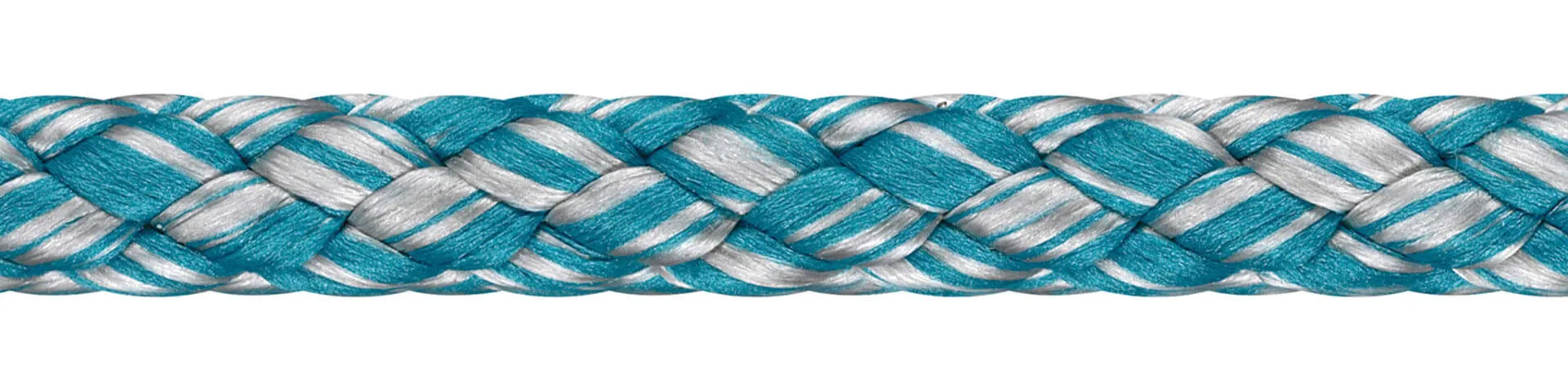 Dyna Soft 2055